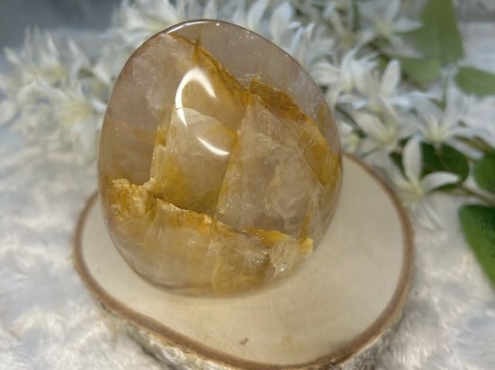 Golden healer freeform 1