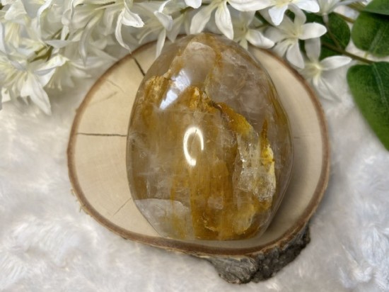 Golden healer freeform 2