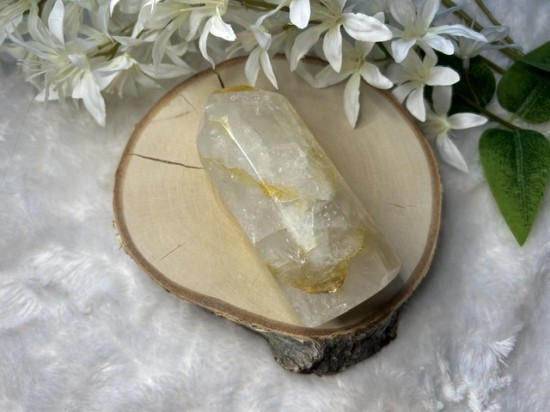 Golden healer punt 2