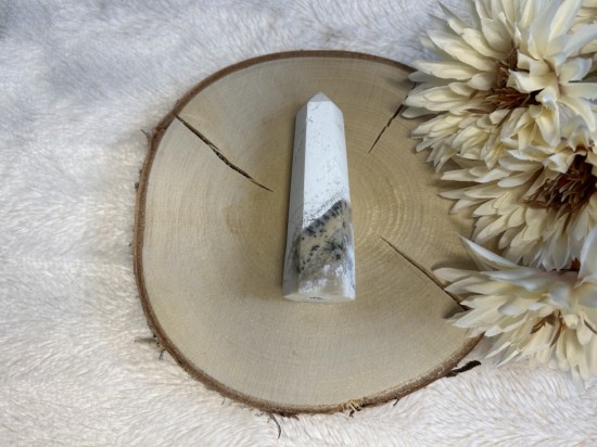 Witte pluimagaat punt