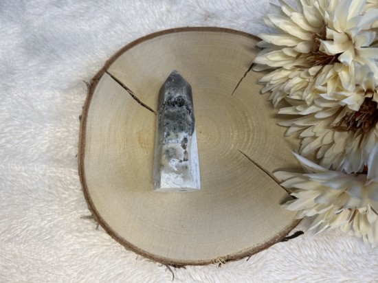 Witte pluimagaat punt