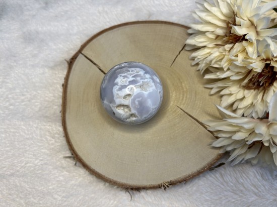 Witte pluimagaag bol