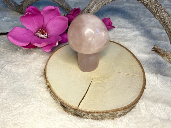Rozenkwarts paddestoel
