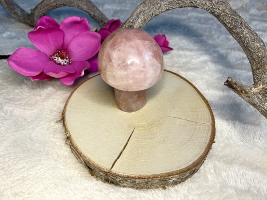 Rozenkwarts paddestoel
