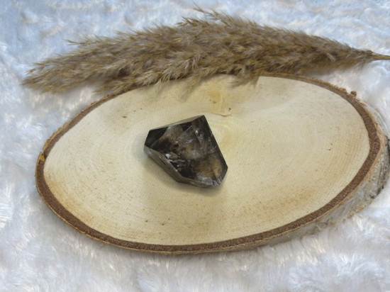 Elestial Krokodillenkwarts