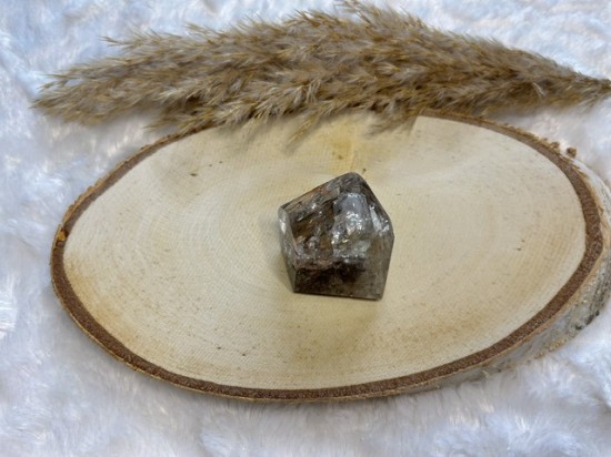 Elestial Krokodillenkwarts