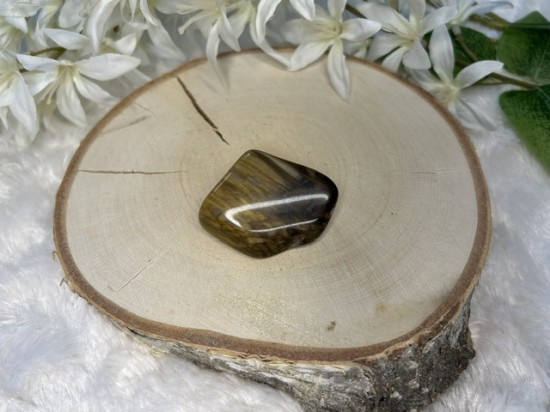 Versteend hout Australië