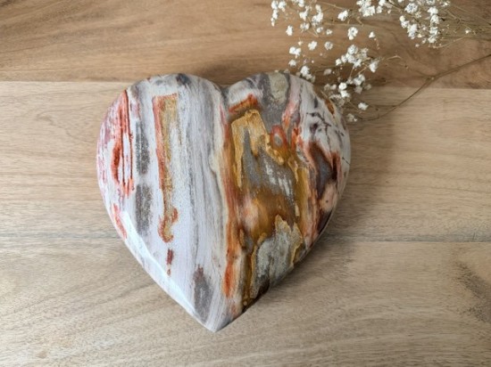 Versteend hout hart 20cm