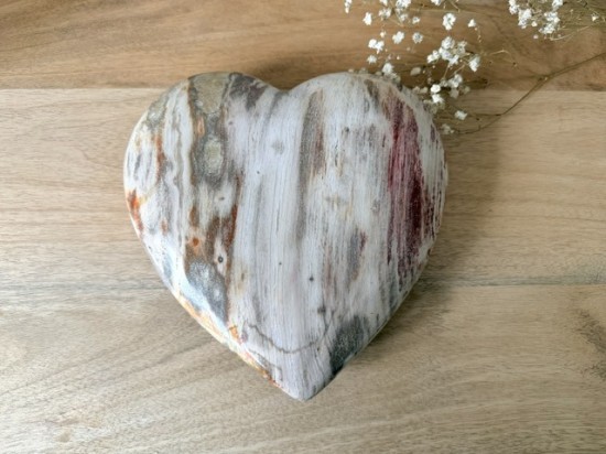 Versteend hout hart 20cm