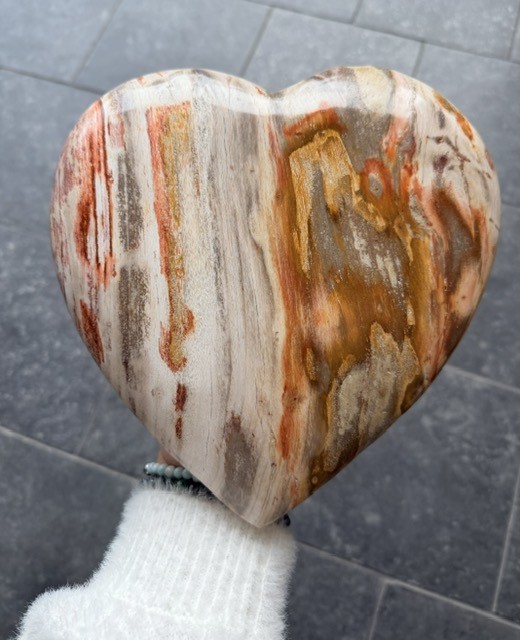 Versteend hout hart 20cm